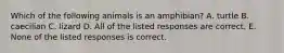 Which of the following animals is an amphibian? A. turtle B. caecilian C. lizard D. All of the listed responses are correct. E. None of the listed responses is correct.