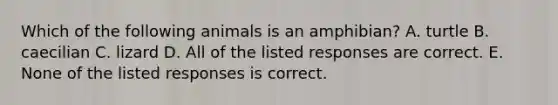 Which of the following animals is an amphibian? A. turtle B. caecilian C. lizard D. All of the listed responses are correct. E. None of the listed responses is correct.