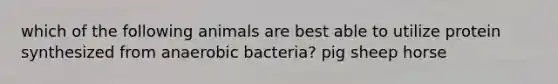 which of the following animals are best able to utilize protein synthesized from anaerobic bacteria? pig sheep horse