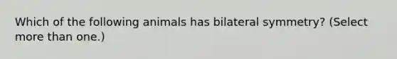 Which of the following animals has bilateral symmetry? (Select more than one.)