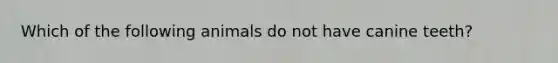 Which of the following animals do not have canine teeth?