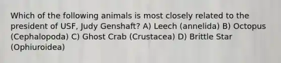 Which of the following animals is most closely related to the president of USF, Judy Genshaft? A) Leech (annelida) B) Octopus (Cephalopoda) C) Ghost Crab (Crustacea) D) Brittle Star (Ophiuroidea)