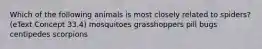 Which of the following animals is most closely related to spiders? (eText Concept 33.4) mosquitoes grasshoppers pill bugs centipedes scorpions