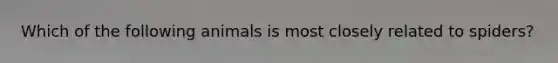 Which of the following animals is most closely related to spiders?