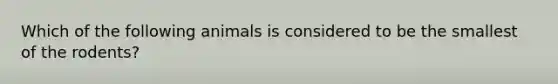 Which of the following animals is considered to be the smallest of the rodents?