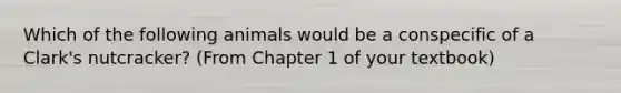 Which of the following animals would be a conspecific of a Clark's nutcracker? (From Chapter 1 of your textbook)