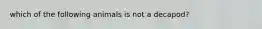 which of the following animals is not a decapod?