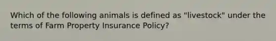 Which of the following animals is defined as "livestock" under the terms of Farm Property Insurance Policy?