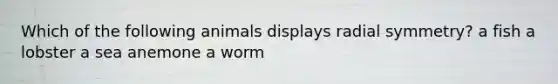 Which of the following animals displays radial symmetry? a fish a lobster a sea anemone a worm