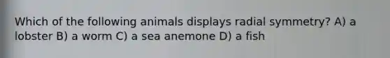 Which of the following animals displays radial symmetry? A) a lobster B) a worm C) a sea anemone D) a fish