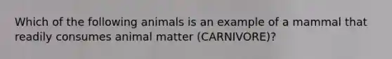 Which of the following animals is an example of a mammal that readily consumes animal matter (CARNIVORE)?