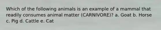 Which of the following animals is an example of a mammal that readily consumes animal matter (CARNIVORE)? a. Goat b. Horse c. Pig d. Cattle e. Cat