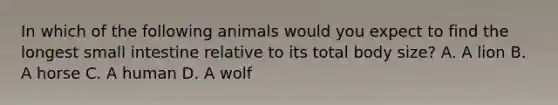 In which of the following animals would you expect to find the longest small intestine relative to its total body size? A. A lion B. A horse C. A human D. A wolf