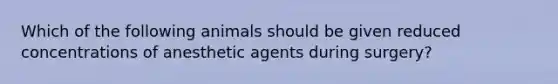 Which of the following animals should be given reduced concentrations of anesthetic agents during surgery?