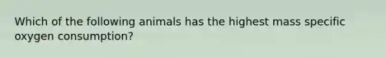 Which of the following animals has the highest mass specific oxygen consumption?