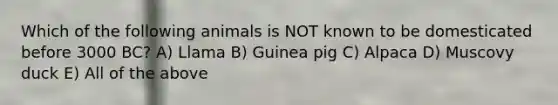 Which of the following animals is NOT known to be domesticated before 3000 BC? A) Llama B) Guinea pig C) Alpaca D) Muscovy duck E) All of the above