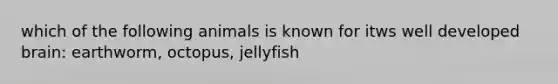 which of the following animals is known for itws well developed brain: earthworm, octopus, jellyfish