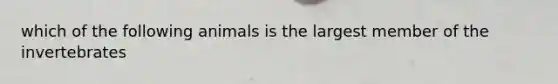 which of the following animals is the largest member of the invertebrates