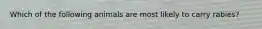 Which of the following animals are most likely to carry rabies?