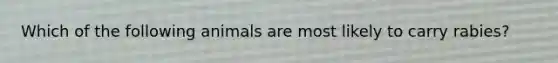 Which of the following animals are most likely to carry rabies?