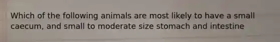 Which of the following animals are most likely to have a small caecum, and small to moderate size stomach and intestine