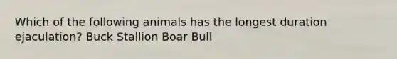 Which of the following animals has the longest duration ejaculation? Buck Stallion Boar Bull