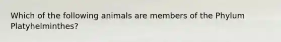 Which of the following animals are members of the Phylum Platyhelminthes?