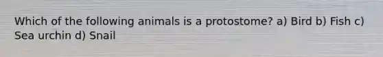 Which of the following animals is a protostome? a) Bird b) Fish c) Sea urchin d) Snail