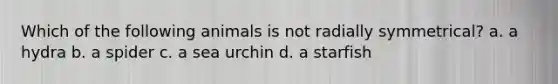 Which of the following animals is not radially symmetrical? a. a hydra b. a spider c. a sea urchin d. a starfish