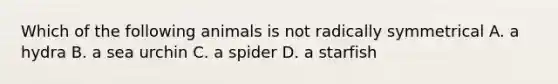 Which of the following animals is not radically symmetrical A. a hydra B. a sea urchin C. a spider D. a starfish