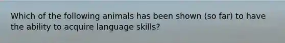 Which of the following animals has been shown (so far) to have the ability to acquire language skills?