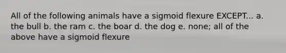 All of the following animals have a sigmoid flexure EXCEPT... a. the bull b. the ram c. the boar d. the dog e. none; all of the above have a sigmoid flexure