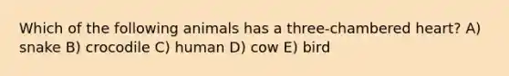 Which of the following animals has a three-chambered heart? A) snake B) crocodile C) human D) cow E) bird