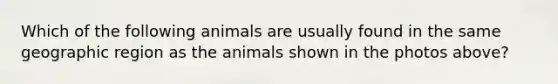 Which of the following animals are usually found in the same geographic region as the animals shown in the photos above?