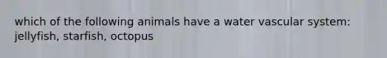 which of the following animals have a water vascular system: jellyfish, starfish, octopus