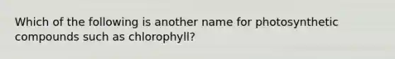 Which of the following is another name for photosynthetic compounds such as chlorophyll?