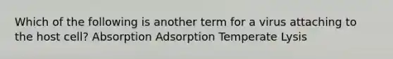 Which of the following is another term for a virus attaching to the host cell? Absorption Adsorption Temperate Lysis