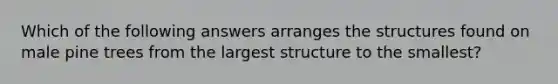 Which of the following answers arranges the structures found on male pine trees from the largest structure to the smallest?