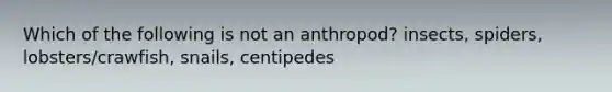 Which of the following is not an anthropod? insects, spiders, lobsters/crawfish, snails, centipedes