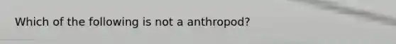 Which of the following is not a anthropod?