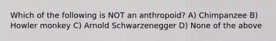 Which of the following is NOT an anthropoid? A) Chimpanzee B) Howler monkey C) Arnold Schwarzenegger D) None of the above