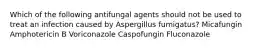 Which of the following antifungal agents should not be used to treat an infection caused by Aspergillus fumigatus? Micafungin Amphotericin B Voriconazole Caspofungin Fluconazole