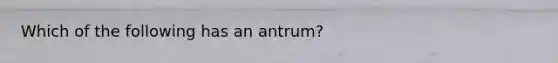 Which of the following has an antrum?