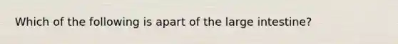 Which of the following is apart of the large intestine?