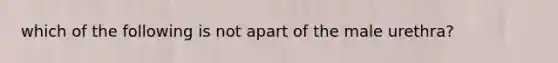 which of the following is not apart of the male urethra?