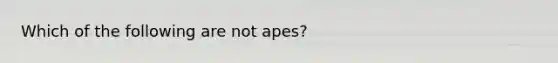 Which of the following are not apes?