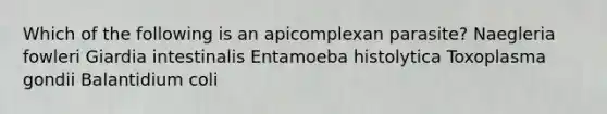 Which of the following is an apicomplexan parasite? Naegleria fowleri Giardia intestinalis Entamoeba histolytica Toxoplasma gondii Balantidium coli