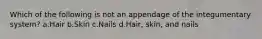 Which of the following is not an appendage of the integumentary system? a.Hair b.Skin c.Nails d.Hair, skin, and nails