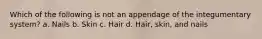 Which of the following is not an appendage of the integumentary system? a. Nails b. Skin c. Hair d. Hair, skin, and nails
