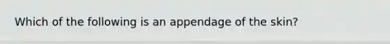 Which of the following is an appendage of the skin?